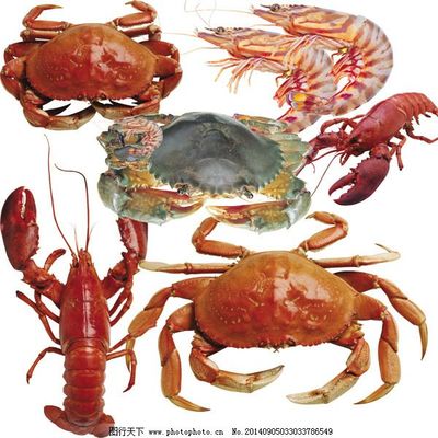 海产品海鲜素材PSD素材,龙虾 螃蟹 水生物-
